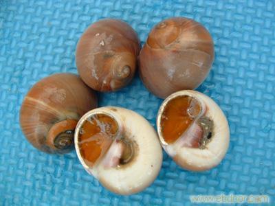 給連云港匯泰食品的連云港水產(chǎn)品留言_產(chǎn)品詢價(jià)_詢價(jià)留言