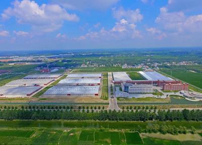 連云港灌南:食用菌全產(chǎn)業(yè)鏈 為鄉(xiāng)村振興蓄能